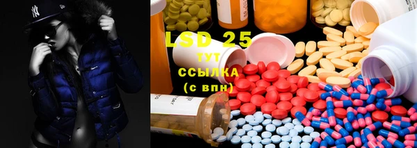 винт Каменка