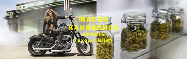 гидра Каменногорск