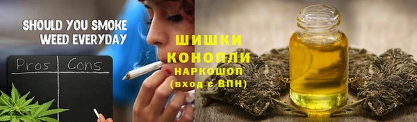 гидра Каменногорск