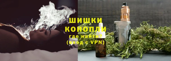 гидра Каменногорск