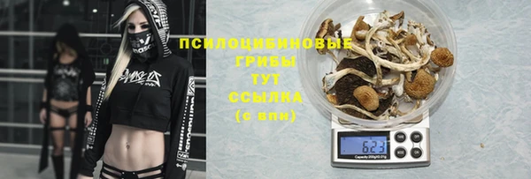 винт Каменка