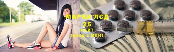 гидра Каменногорск