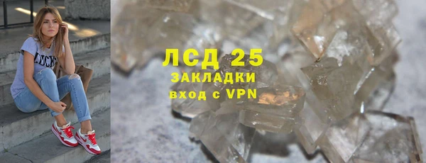 гидра Каменногорск