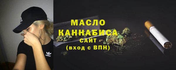 винт Каменка