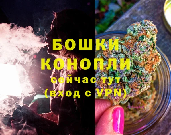 винт Каменка