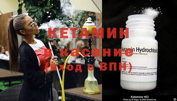гидра Каменногорск