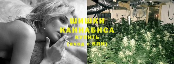 винт Каменка