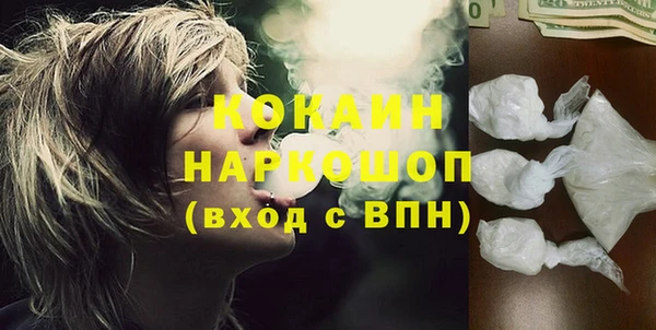 гидра Каменногорск