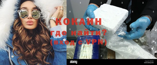 винт Каменка