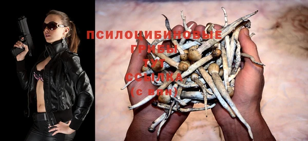 гидра Каменногорск