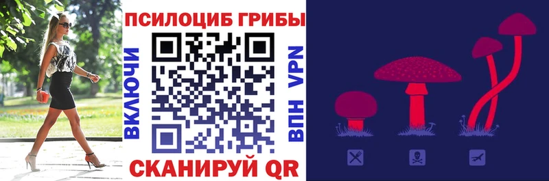 Галлюциногенные грибы Cubensis  Купить где  Калуга 
